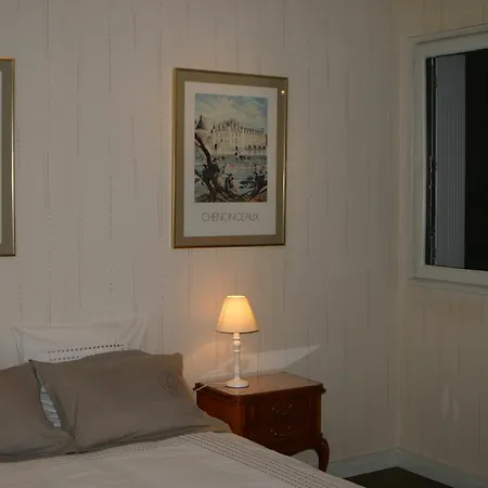 La Touraine Romantique Grammont Apartment *